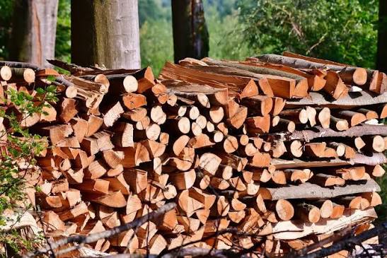 Stacked split hardwood firewood seasoning at the forest edge in Grand Rapids MI by Diversified Tree Service